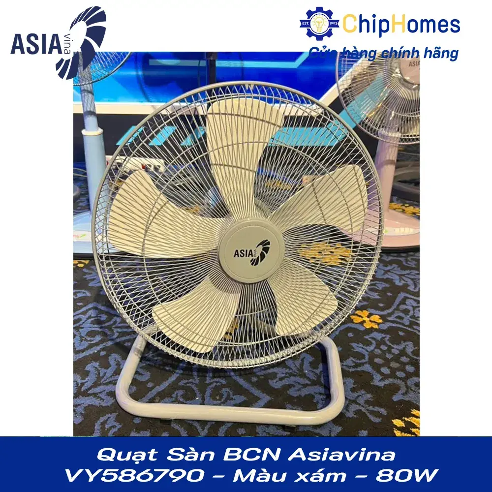 Quạt Sàn BCN Asiavina VY586790 - Màu xám - 80W