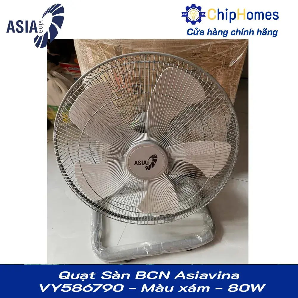 Quạt Sàn BCN Asiavina VY586790 - Màu xám - 80W